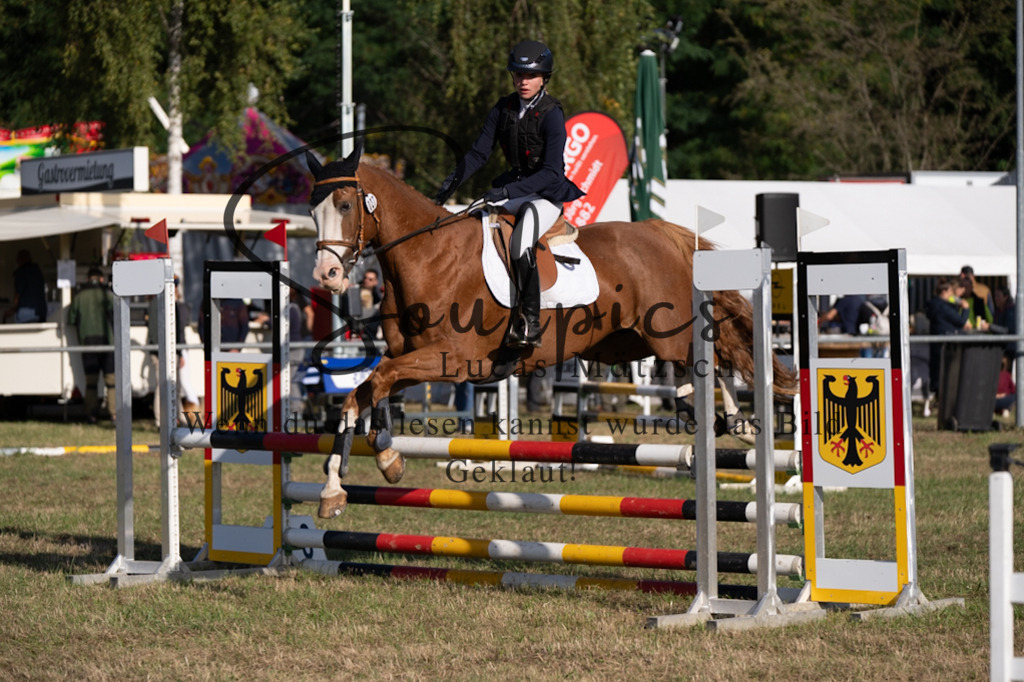 A7V08169 | Pferdefotograf