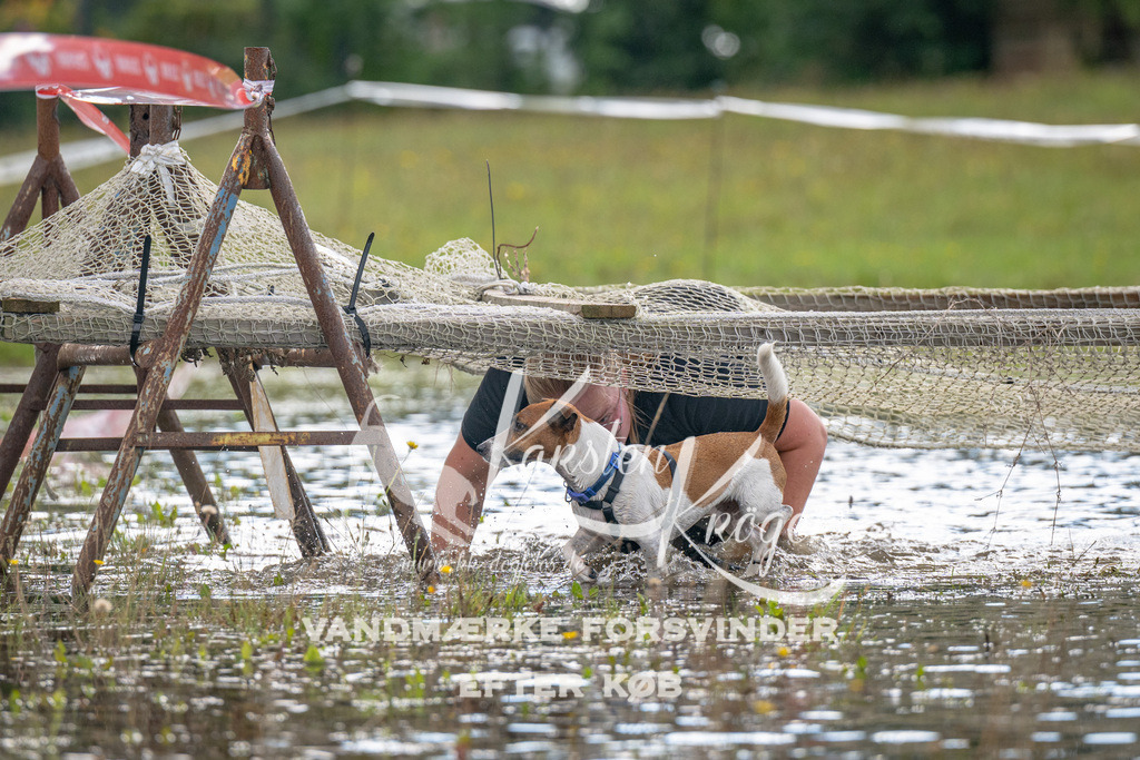 1347_ZZ90009 | kk-dogfotos