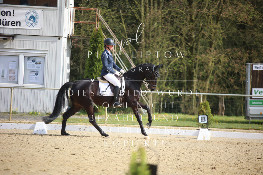 IMGT6293 | pl-fotografie