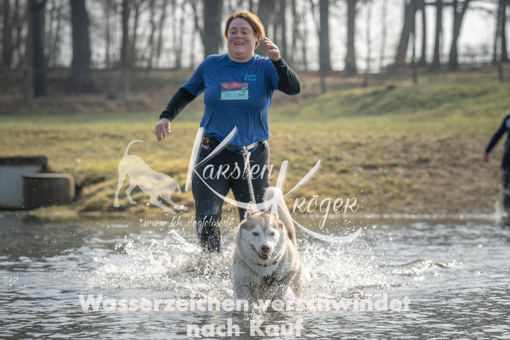 1041_ZZ99090 | kk-dogfotos