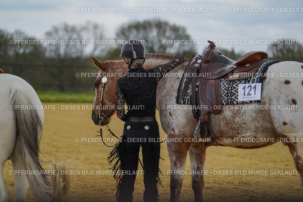 DSC05806 | Pferdegrafie