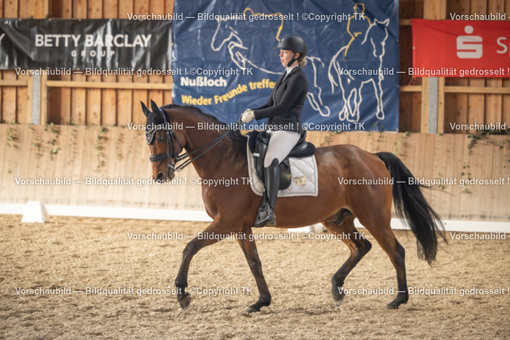 _D5A3065 | Emotionale Pferde- & People-Fotografie rund um Heidelberg, Leimen & Umgebung. Natürliche Fotos von Pferd, Mensch & Familie. Jetzt Termin sichern!