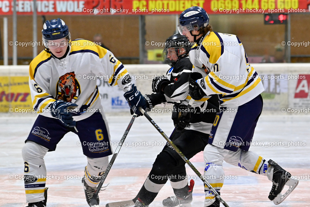 EC Tigers Paternion vs. Tarco Wölfe II | #6 Ortner Hansjörg EC Tigers Paternion, #27 Wirtitsch Benjamin Tarco Wölfe II, #20 Steiner Andra EC Tigers Paternion, EC Tigers Paternion vs. Tarco Wölfe II, EC Tigers Paternion vs. Tarco Wölfe II am 19.12.2024 in Spittal an der Drau (Eissportzentrum Spittal), Austria, (Photo by Bernd Stefan)