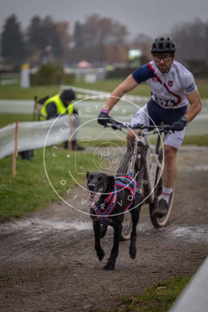 CaniXpix_0L8A1110 | Hundefotografie, Tierfotograf, Pfotenfotografie, Fotoshooting Hund, Hunde Portrait, Hundesport, Hundeportraits, Heideshooting, Hunde, Sportfotograf, Hundefotograf, Turnierhundsport, THS,  - Realisiert mit Pictrs.com