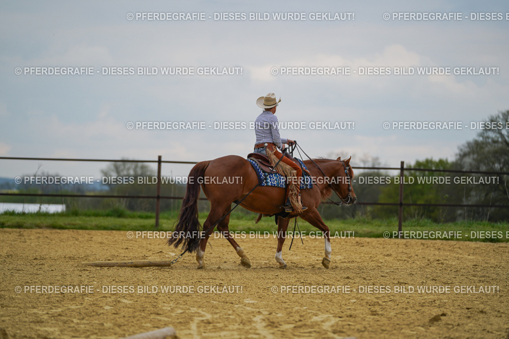 DSC07766 | Pferdegrafie