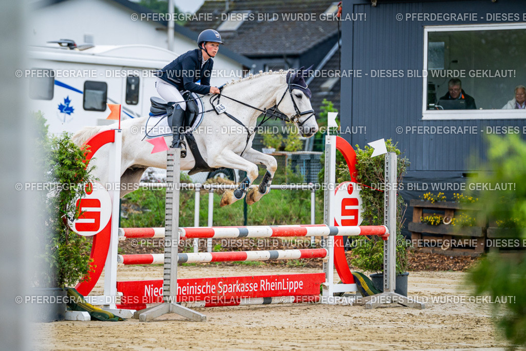 DSC01851 | Pferdegrafie