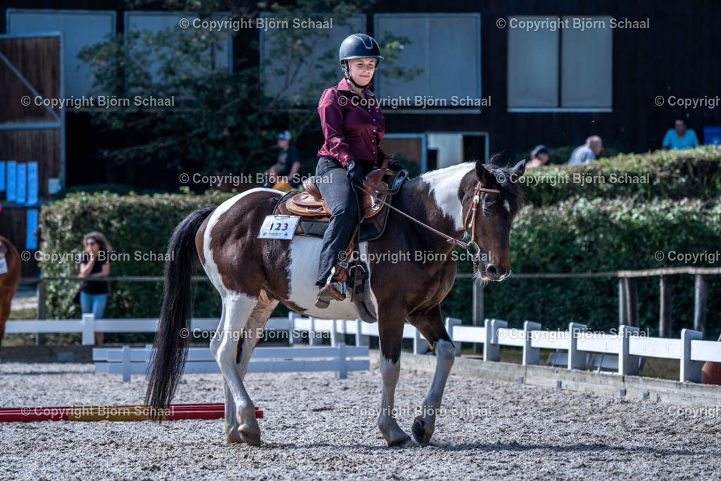 HOB08991 | BS-foto