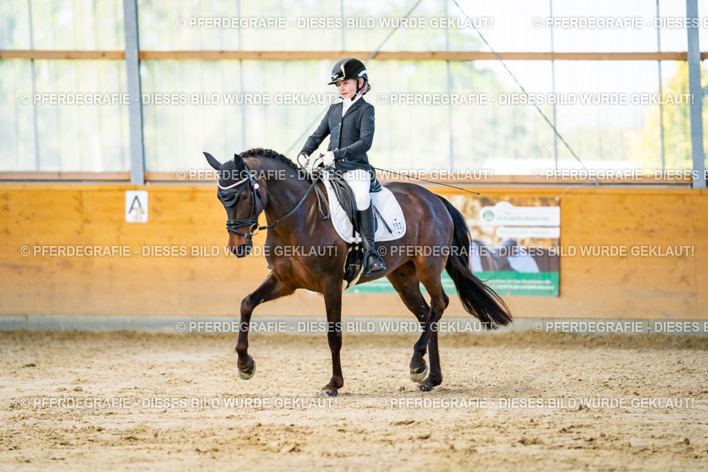 DSC06320 | Pferdegrafie