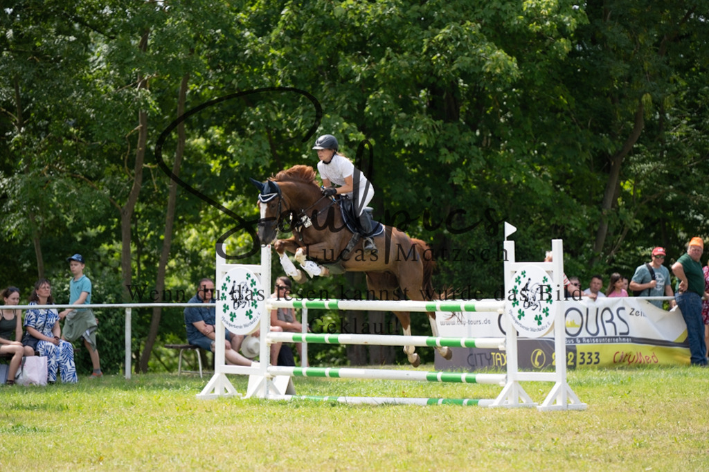 A7V07259 | Pferdefotograf