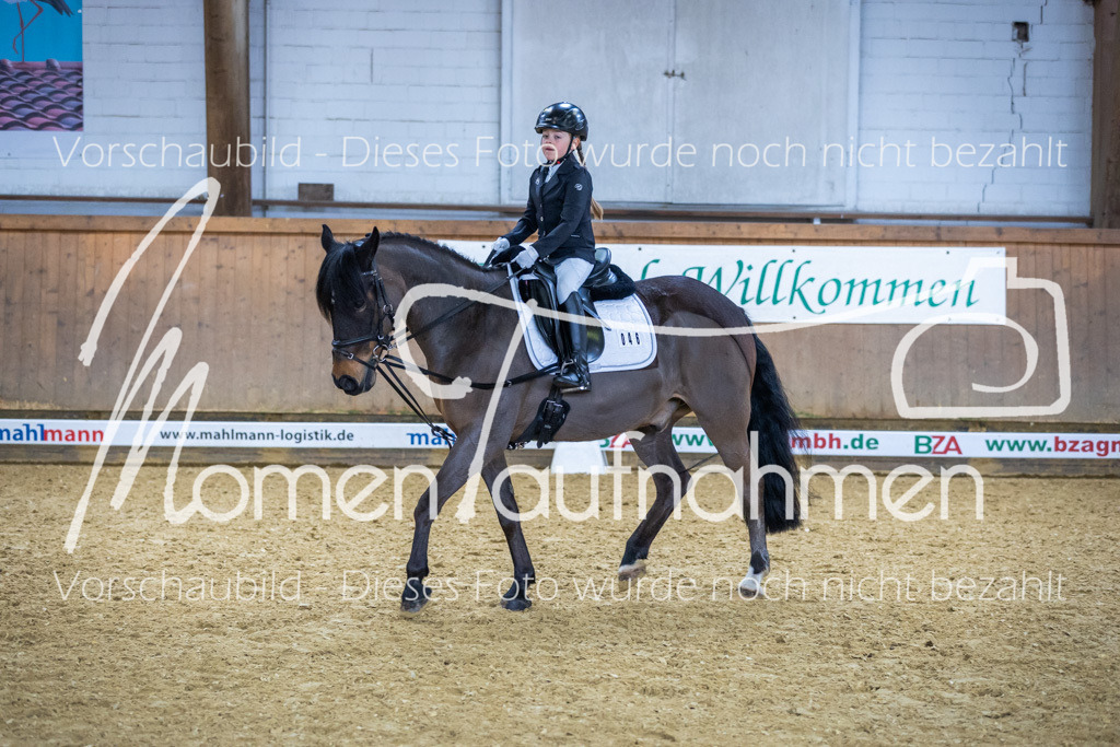 Sth-WBO25-RWBST-015 | MomenTaufnahmen Pferdesportfotos