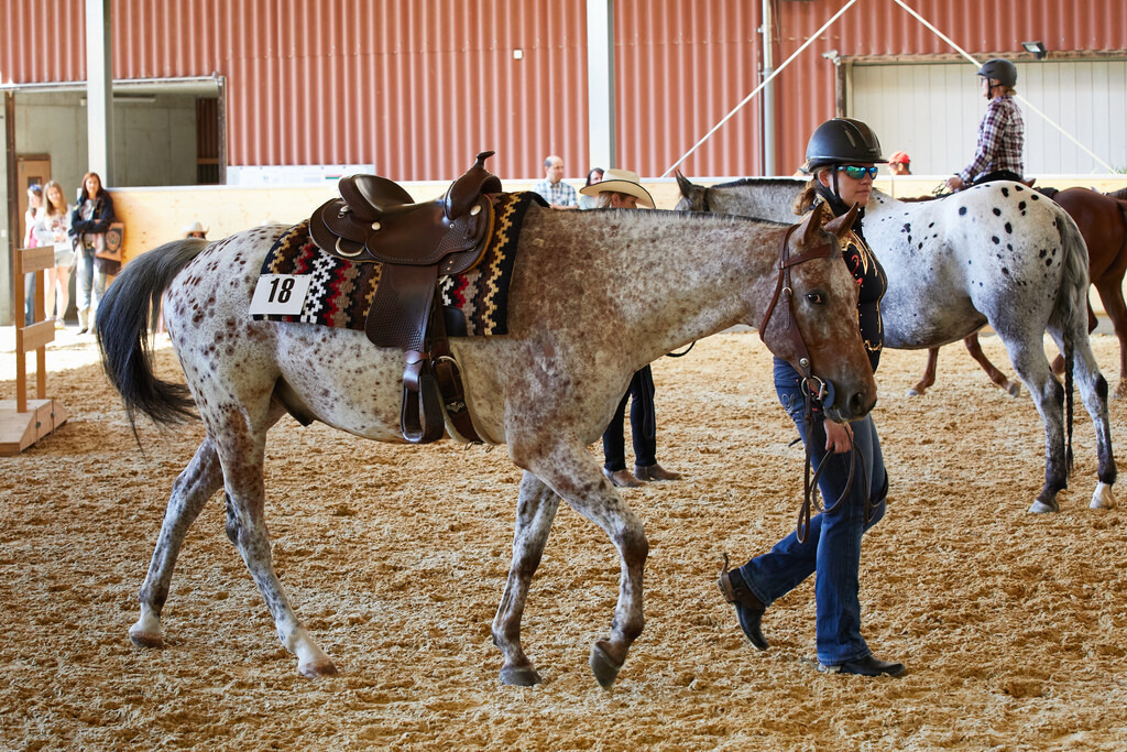 2020_07_19 Schweizersbild 031 | Peter Fridle Fotografie - Realisiert mit Pictrs.com