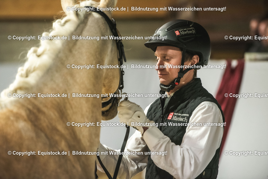 20240302_Hengstvorstellung_Marbach_TOMsPiC_0853 | equistock