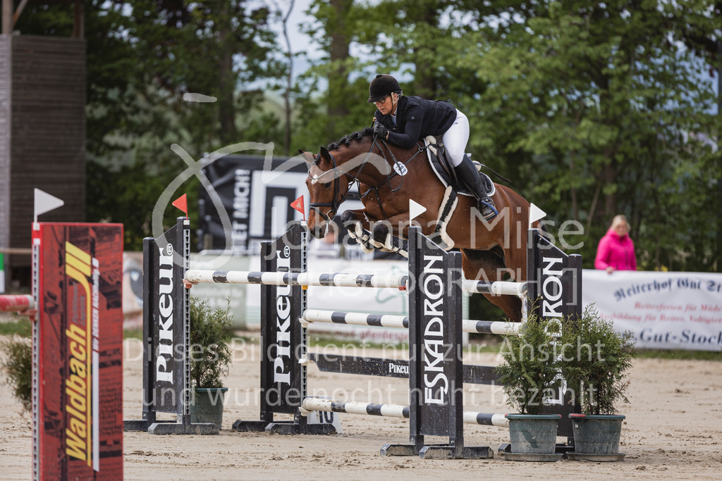 250504_SpengeW_M2-Spr-446 | Deine schönsten Turniermomente als professionelle Fotos! Entdecke hochwertige Pferdesport-Fotografie im Online-Shop. Jetzt Fotos finden & bestellen!