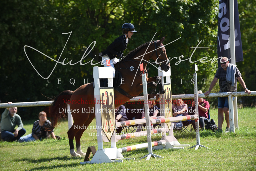 DSC_9432 | Pferde- und Turnierfotografie in Westsachsen. Pferdeportraits, Auftragszeichnungen und intuitive Kunst.
