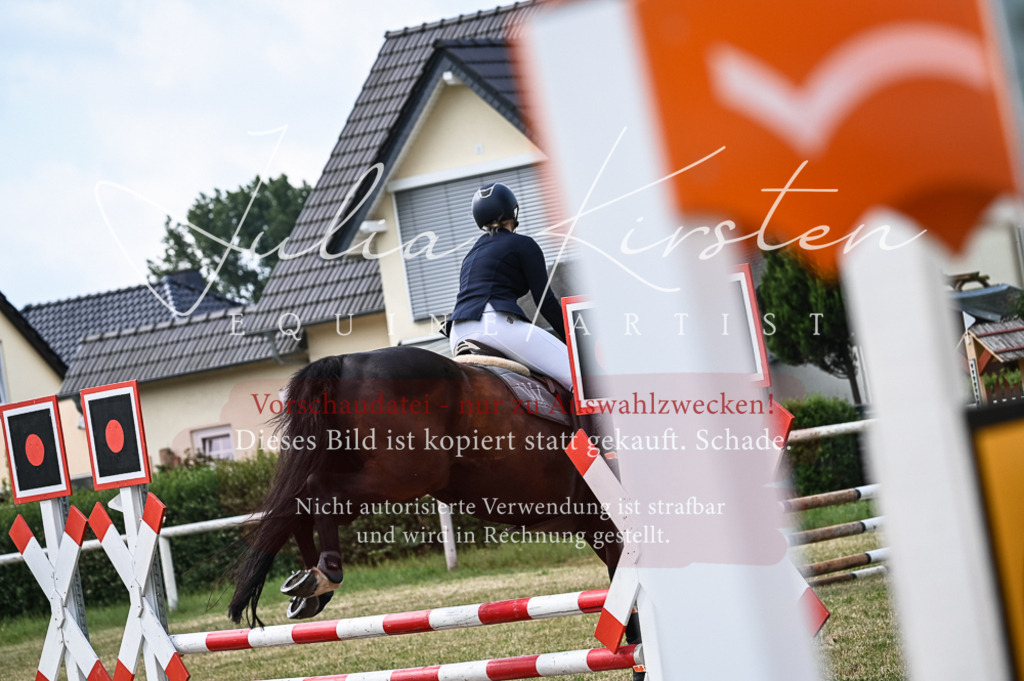 DSC_8125 | Pferde- und Turnierfotografie in Westsachsen. Pferdeportraits, Auftragszeichnungen und intuitive Kunst.