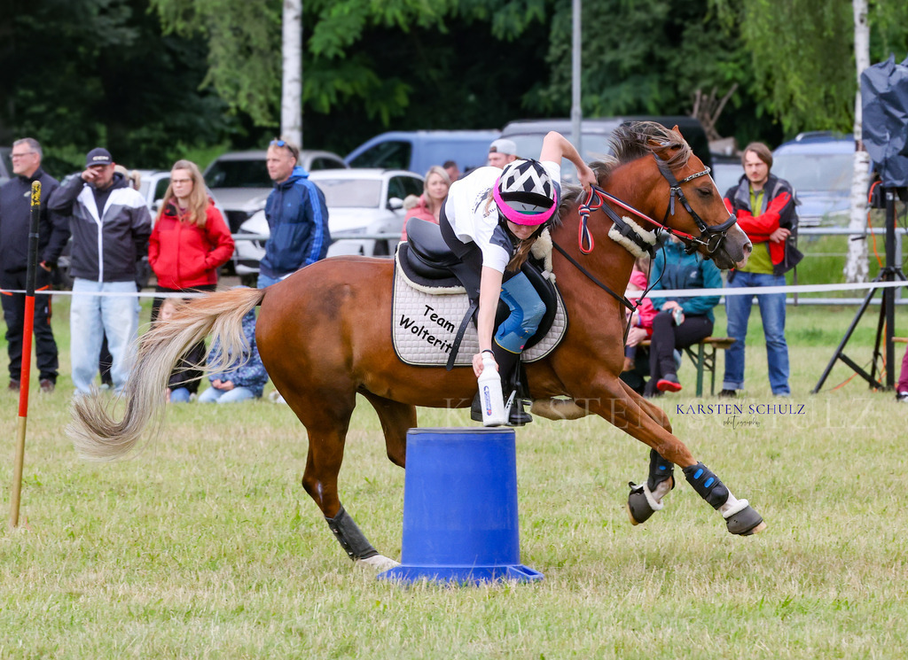 1B3A1440 | Reitsport Reiten