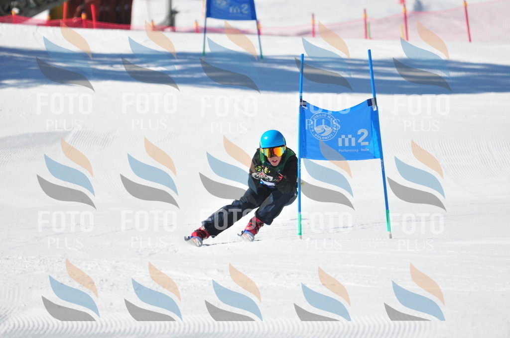 C3847 | holidayphoto