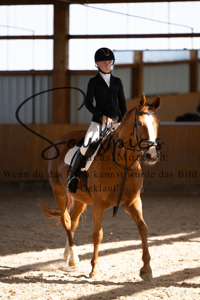 A7V02085 | Turnier/Reitfotograf