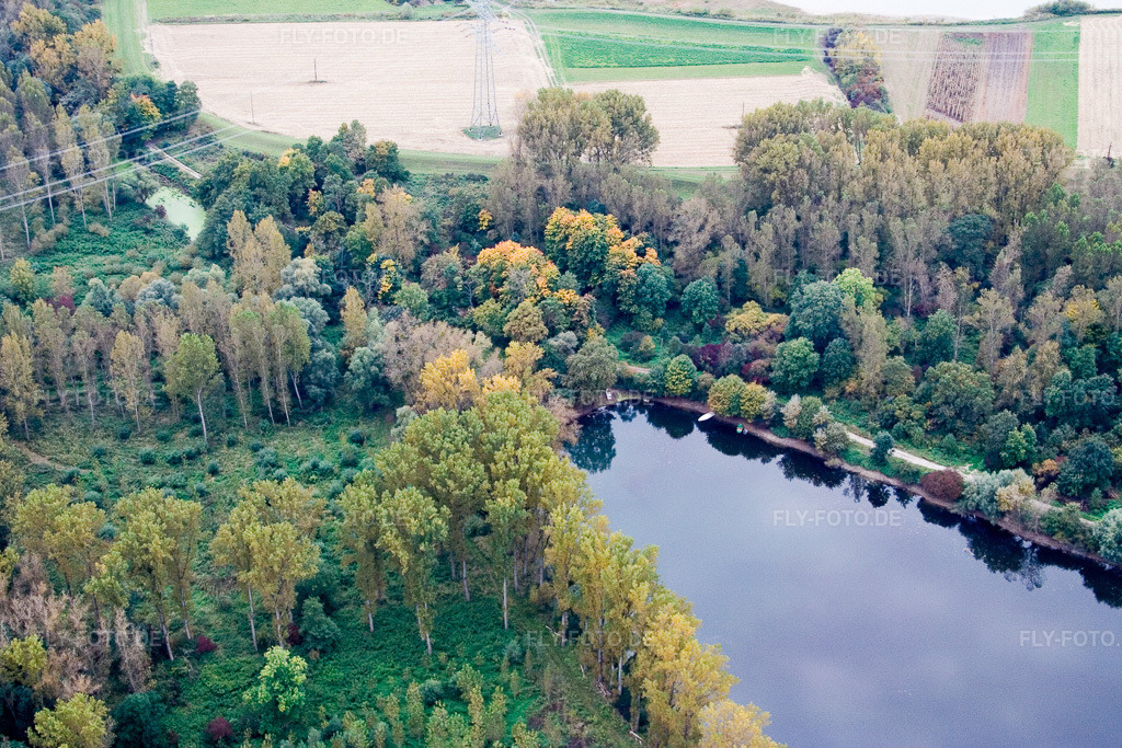 Luftbild: Maximilansau, Altrhein im Ortsteil Maximiliansau in Wörth im Bundesland Rheinland-Pfalz in Deutschland. Foto: IMG_13794.jpg vom 08.10.2008 durch Werner Riehm/FLY-FOTO.de