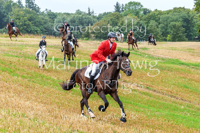 Jagd Kletkamp 26-02885_MarinaHewig | Fotografie, FotoArt, PferdesportArt, Pferdesportfotografie, Landschaftsfotografie, Reisefotografie, Reise, Pferde - Realisiert mit Pictrs.com