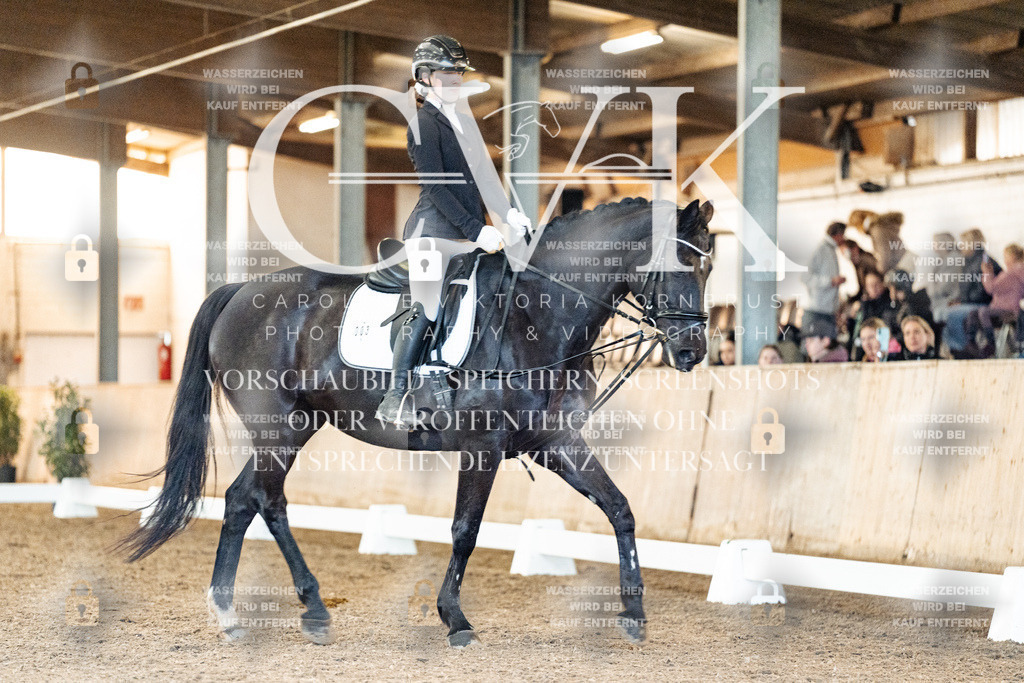 CK906925 | Turnierfotografie Pferdefotografie Trier Rheinland-Pfalz Pferdesport Reitsport Tierfotografie Sportfotografie Pferdevideo Pferdevideografie Equestrianvideography equestrianphotography  - Realized with Pictrs.com