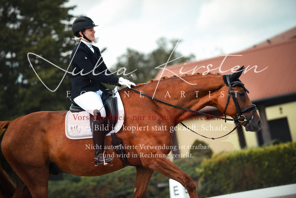 DSC_9138 | Pferde- und Turnierfotografie in Westsachsen. Pferdeportraits, Auftragszeichnungen und intuitive Kunst.