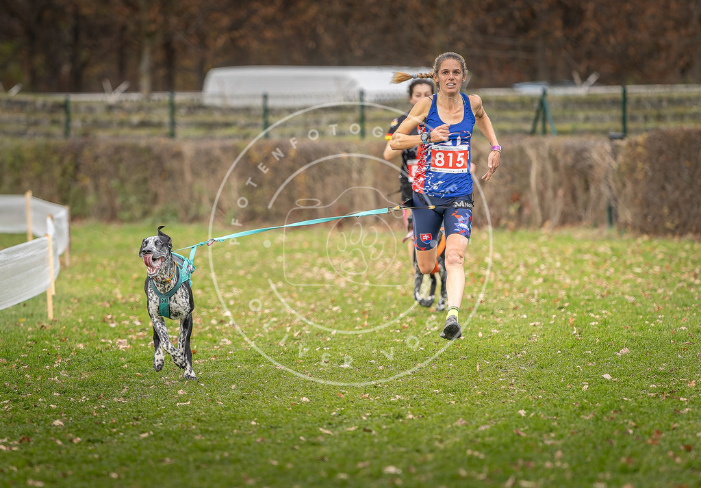 CaniXpix_DV3A6162 | Hundefotografie, Tierfotograf, Pfotenfotografie, Fotoshooting Hund, Hunde Portrait, Hundesport, Hundeportraits, Heideshooting, Hunde, Sportfotograf, Hundefotograf, Turnierhundsport, THS,  - Realisiert mit Pictrs.com