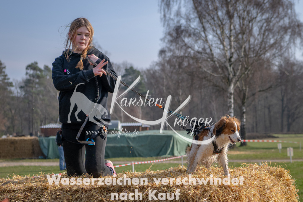 _ZZ90914 | kk-dogfotos