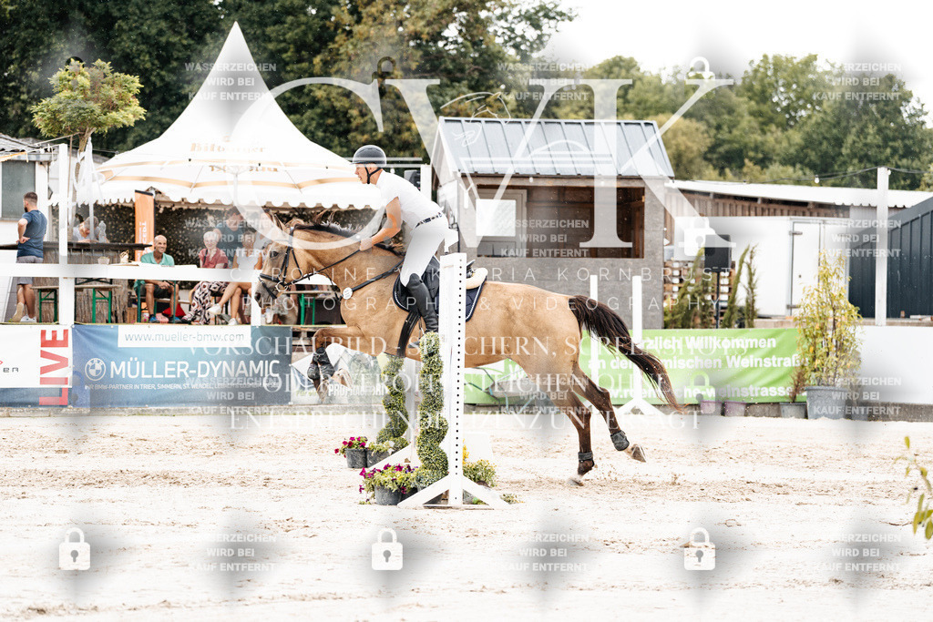 CK908732 | Turnierfotografie Pferdefotografie Trier Rheinland-Pfalz Pferdesport Reitsport Tierfotografie Sportfotografie Pferdevideo Pferdevideografie Equestrianvideography equestrianphotography  - Realisiert mit Pictrs.com