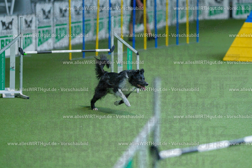 @allesWIRTHgut_Tierfotografie - www.allesWIRTHgut.de - 2604261528-7R505730 | Professionelle Tierfotografie in Mönchengladbach von Daniel Wirth (allesWIRTHgut). Liebevolle & natürliche Bilder von Hunden & Katzen für unvergessliche Erinnerungen.