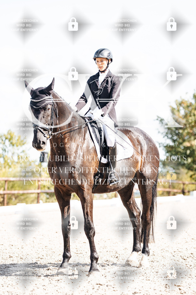 CK902585 | Turnierfotografie Pferdefotografie Trier Rheinland-Pfalz Pferdesport Reitsport Tierfotografie Sportfotografie Pferdevideo Pferdevideografie Equestrianvideography equestrianphotography  - Realisiert mit Pictrs.com