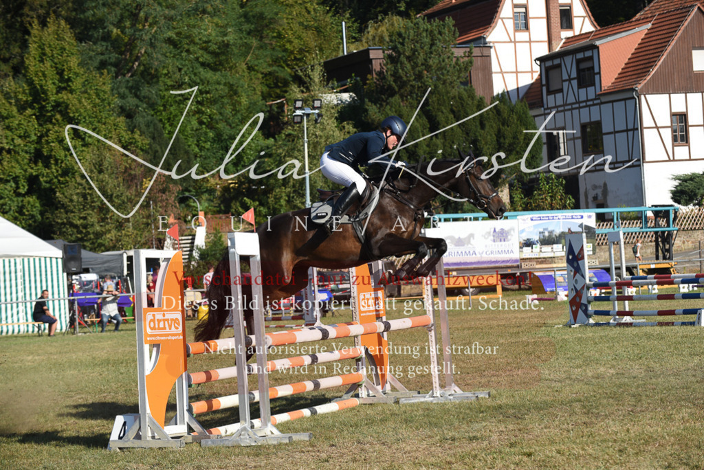 DSC_5174 | Pferde- und Turnierfotografie in Westsachsen. Pferdeportraits, Auftragszeichnungen und intuitive Kunst.