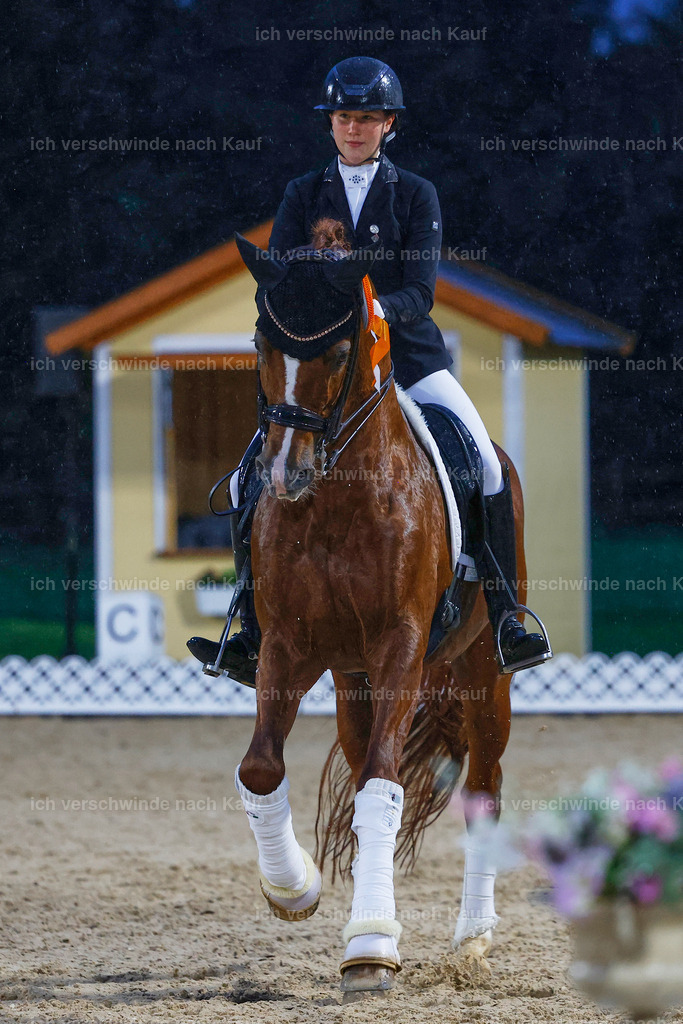 04_2-Siegerehrung-Dressur M__ -StoibPH-2919 | working equitationturnier fotograf videograf stoibphotography marixx film working equitation deutschland reitsport turnierfotografie eventfotografie equestrian events