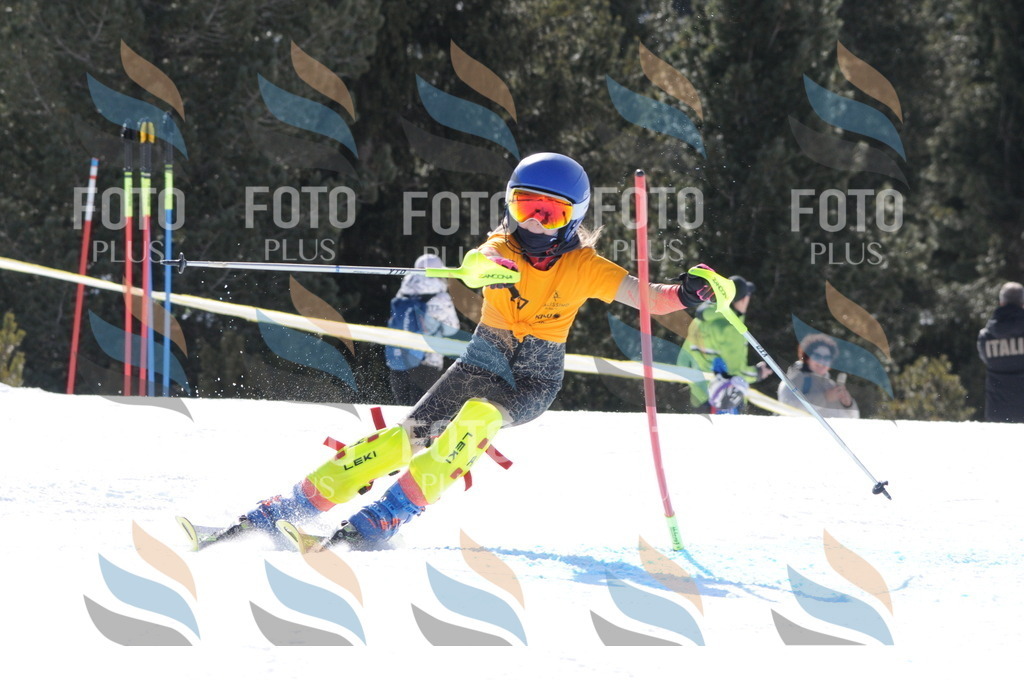 C8838 | holidayphoto