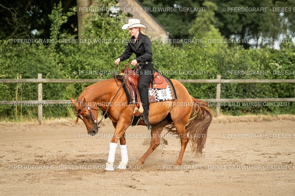 DSC05302 | Pferdegrafie