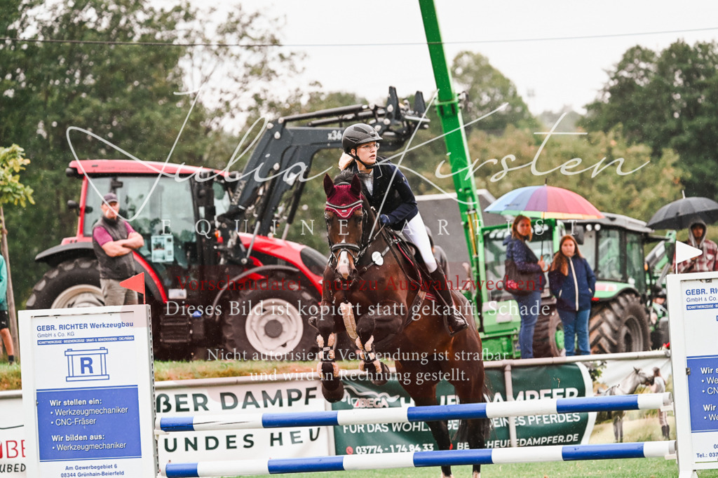 DSC_6531 | Pferde- und Turnierfotografie in Westsachsen. Pferdeportraits, Auftragszeichnungen und intuitive Kunst.