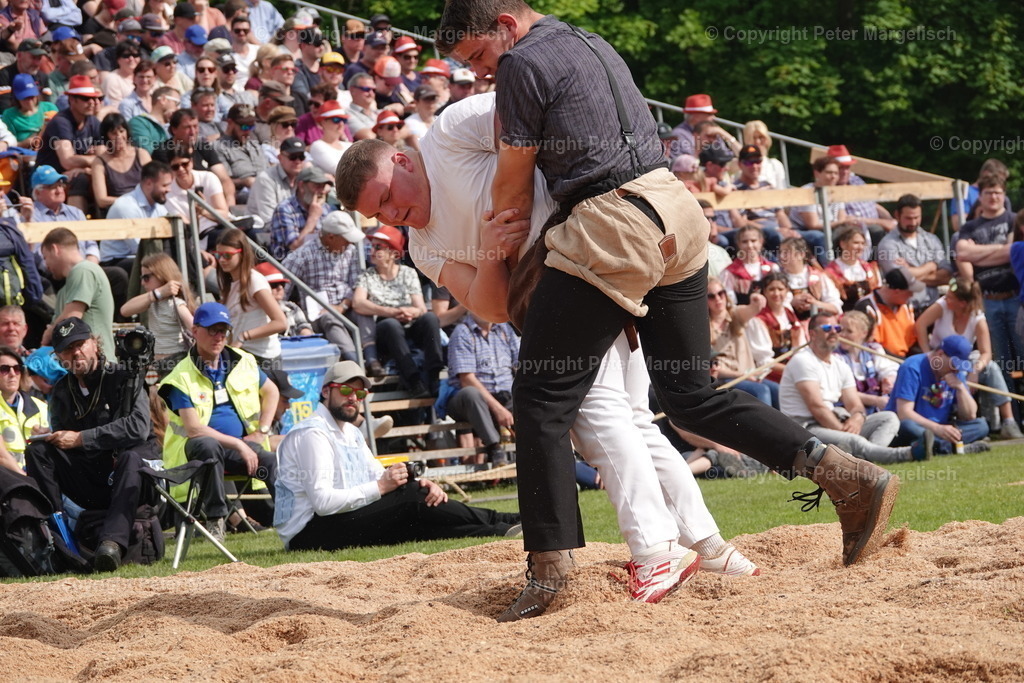 DSC04197 | Schwingen - Realisiert mit Pictrs.com