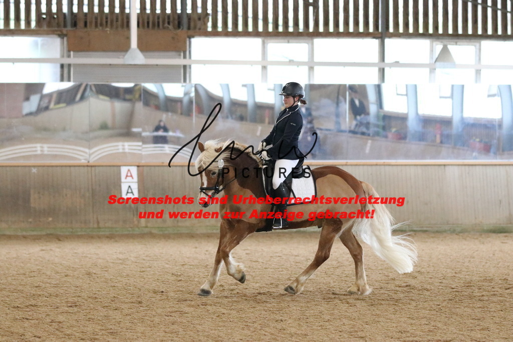 IMG_6439 | lmwpictures - Realisiert mit Pictrs.com