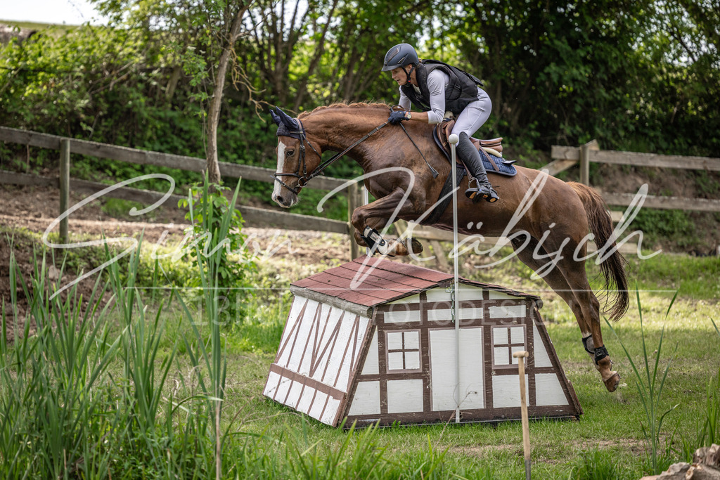 20260523-_3LI9833 | Tierfotografie Pferde, Hunde, Katzen, Haustiere.
Turnierfotografie Reitturniere, Reiten, Springreiten, Dressur in Hanau, dem Main-Kinzig-Kreis und dem Rhein-Main- Gebiet um Frankfurt