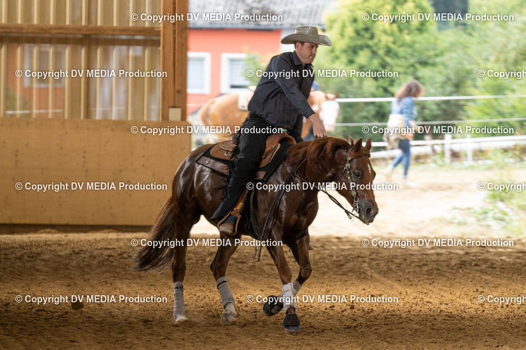 LAU01604 | dv-media-shop - Realisiert mit Pictrs.com