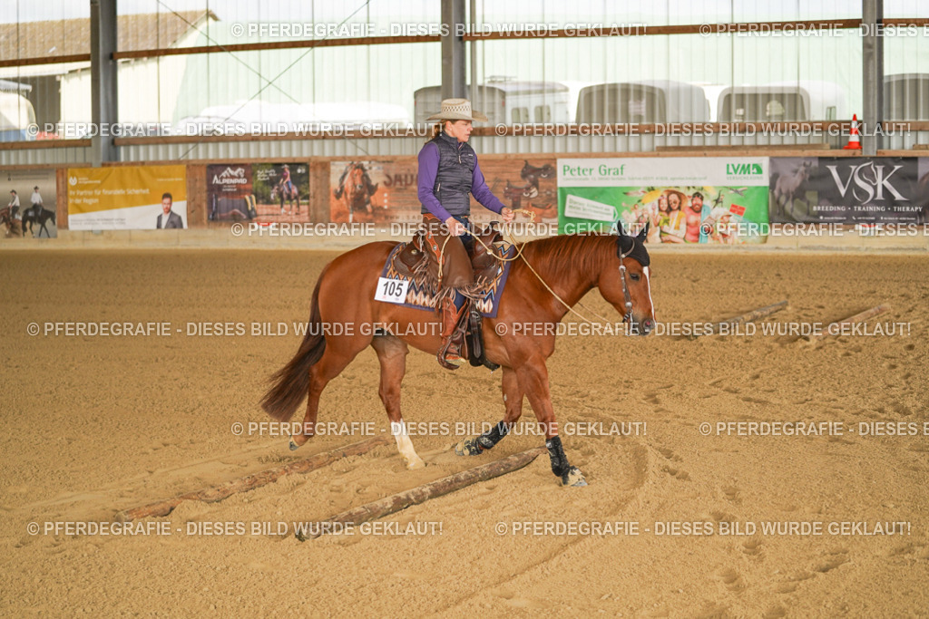 DSC01243 | Pferdegrafie