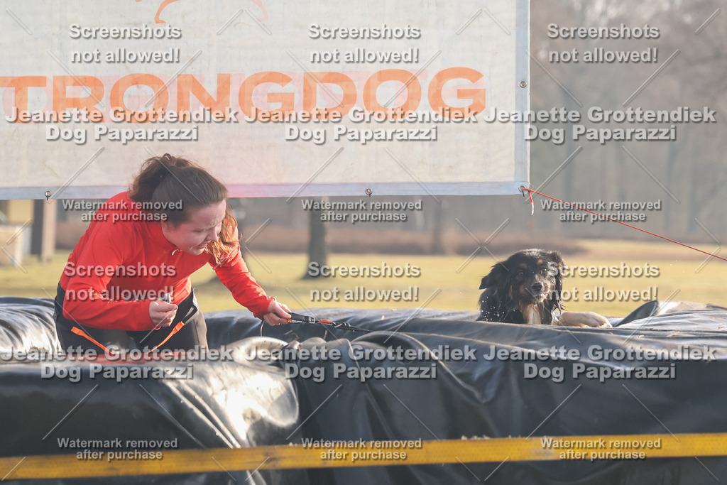Dog Paparazzi - SD North 0326 900930-132 | Dog Paparazzi Jeanette Grottendiek Fotografie & Videografie - Realisiert mit Pictrs.com