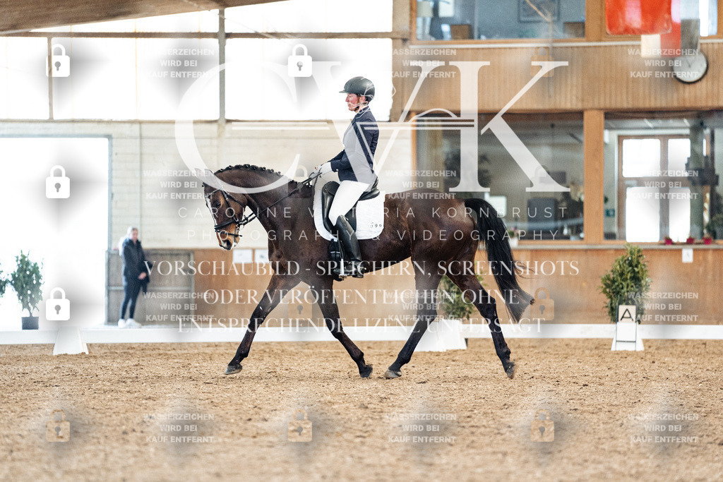 CK909152 | Turnierfotografie Pferdefotografie Trier Rheinland-Pfalz Pferdesport Reitsport Tierfotografie Sportfotografie Pferdevideo Pferdevideografie Equestrianvideography equestrianphotography  - Realisiert mit Pictrs.com