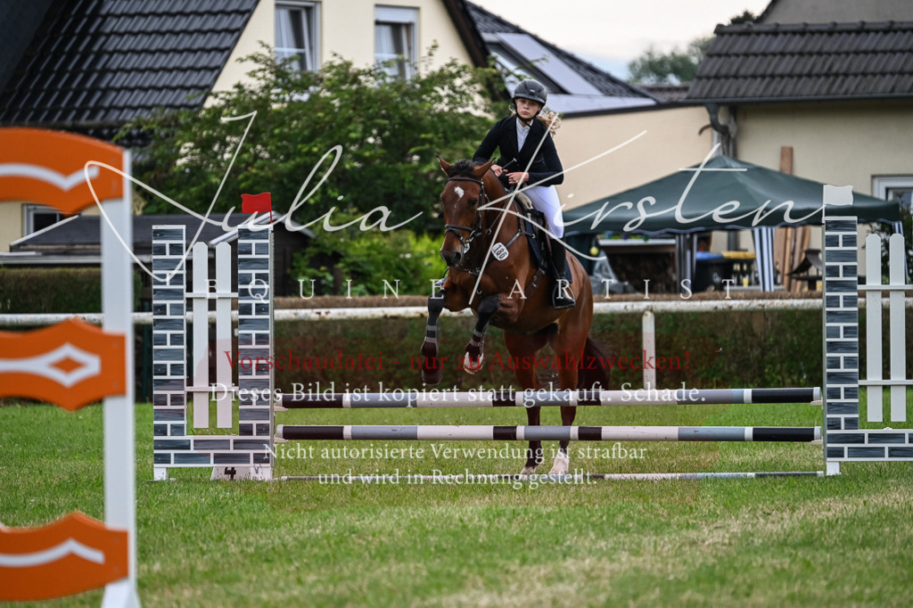 DSC_8490 | Pferde- und Turnierfotografie in Westsachsen. Pferdeportraits, Auftragszeichnungen und intuitive Kunst.
