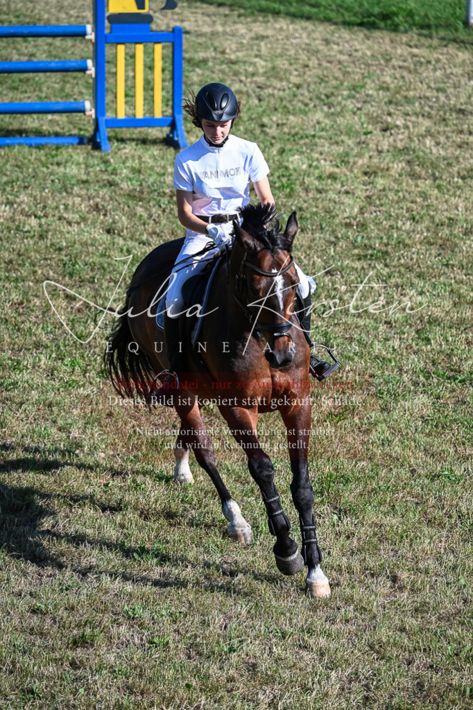 DSC_2628 | Pferde- und Turnierfotografie in Westsachsen. Pferdeportraits, Auftragszeichnungen und intuitive Kunst.