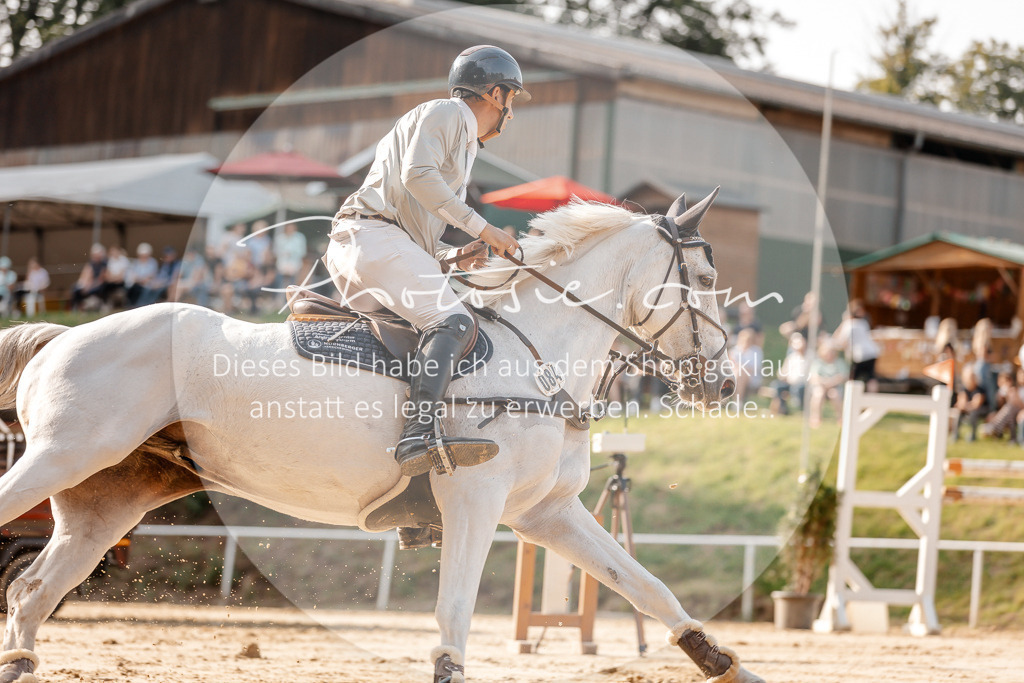 3I6A4972 | Stimmungsvolle Portraits und Reitsportfotografie im Ruhrgebiet und im Münsterland.

Pferdefotografie, Hundefotografie, Tierfotografie, Reportagen, Portraits von Tier und Mensch, Turnierfotografie in Bochum, Recklinghausen, Marl, Haltern am See, Dülmen.. - Realisiert mit Pictrs.com