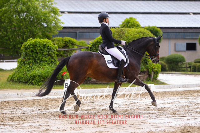 DKP40456 | Turniersportfotografie; Pferdefotografie; Dressurfotografie