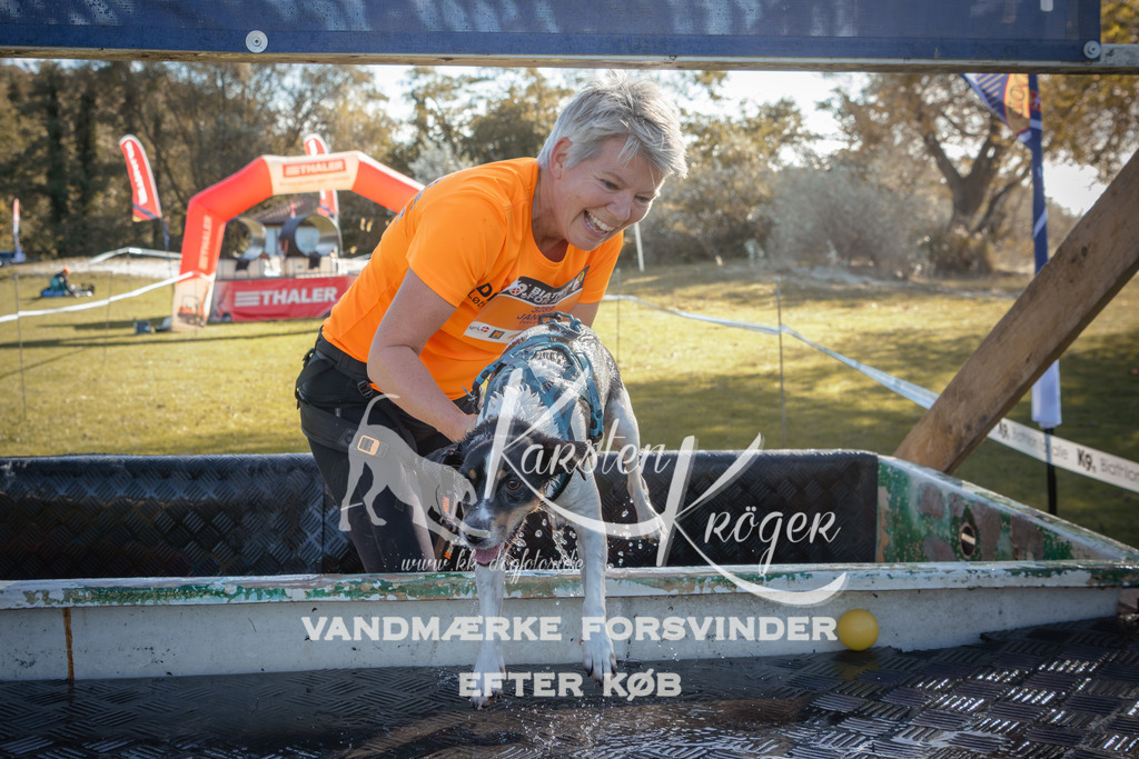 1204_ZZ94606 | kk-dogfotos
