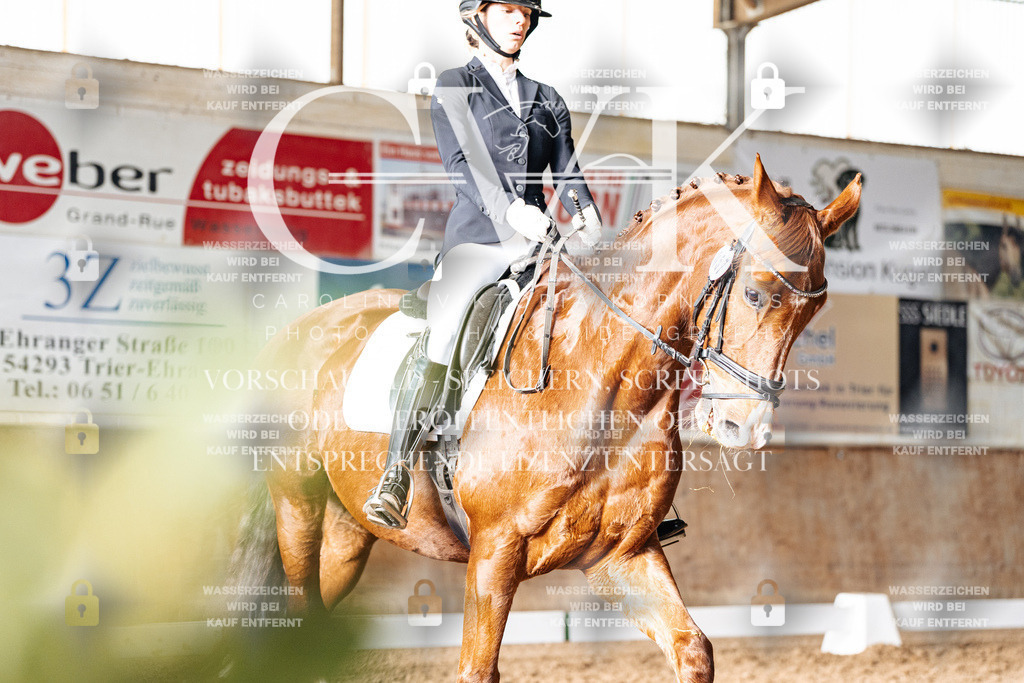 CK902416 | Turnierfotografie Pferdefotografie Trier Rheinland-Pfalz Pferdesport Reitsport Tierfotografie Sportfotografie Pferdevideo Pferdevideografie Equestrianvideography equestrianphotography  - Realisiert mit Pictrs.com