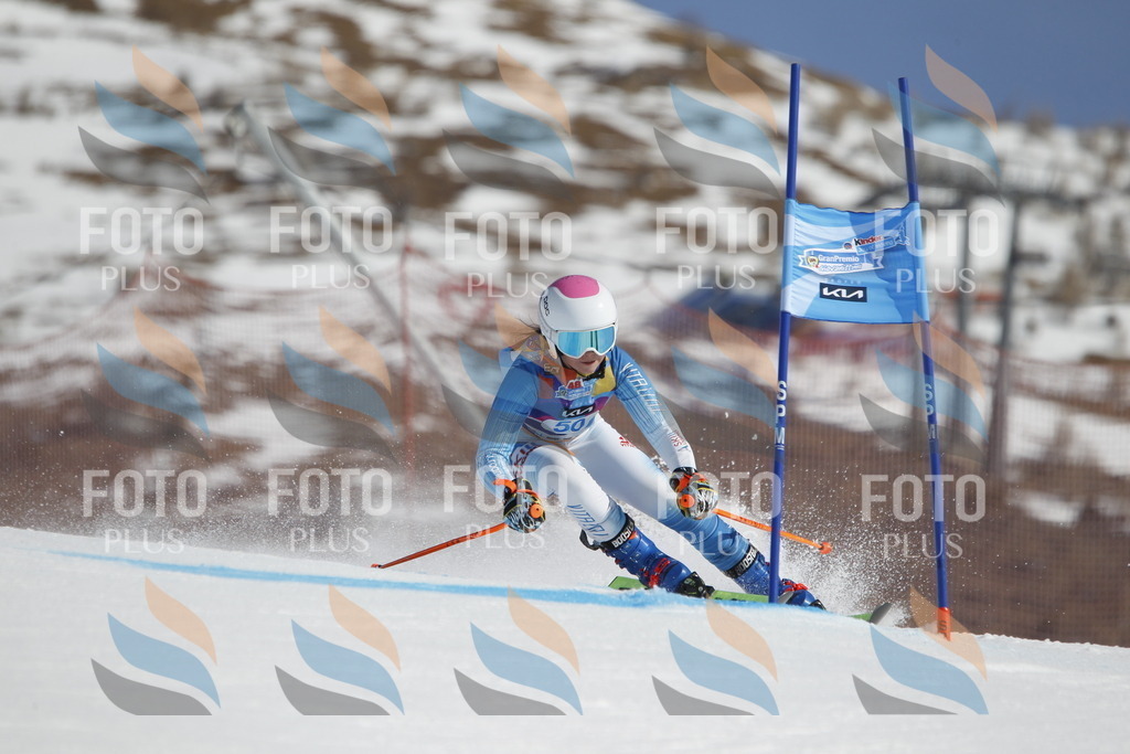 _U3G9398 | holidayphoto